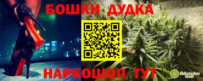 a pvp Кимры