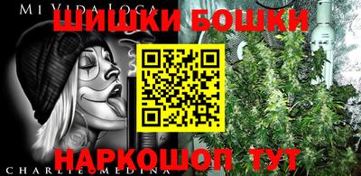 spice Кинель