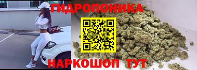 spice Кинель